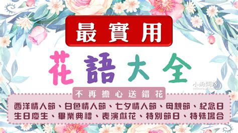 花語大全|最實用花語大全｜送花花語｜263種花的花語｜各種花 